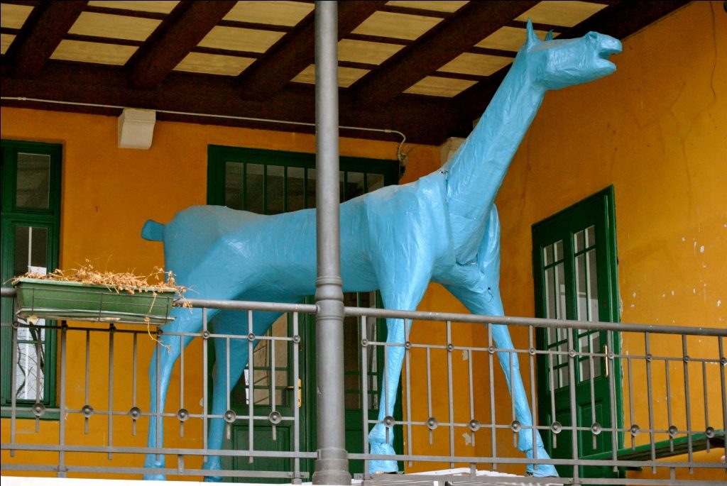 cavallo%205.JPG